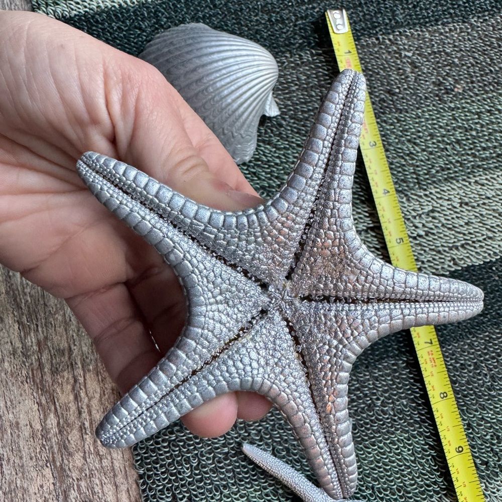 Small Plastic Silver Seashell and Starfish Decor Set - Picture 7 of 8